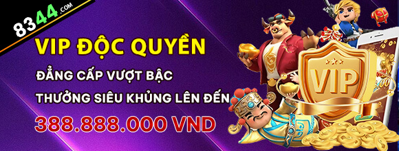 Hình ảnh quảng cáo của t888 hiển thị nền tảng và các lợi ích