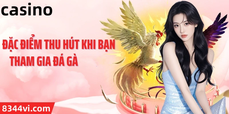 Hình ảnh quảng cáo của t888 hiển thị nền tảng và các lợi ích